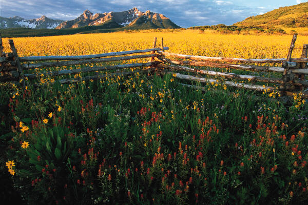 reiseversicherung.tc - Zu jeder Reise die passende Reiseversicherung