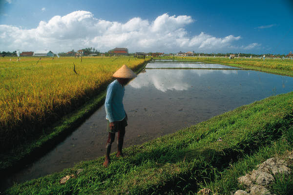 reiseversicherung.tc - Zu jeder Reise die passende Reiseversicherung