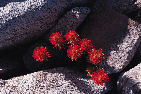 reiseversicherung.tc - Zu jeder Reise die passende Reiseversicherung