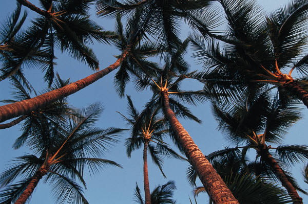 reiseversicherung.tc - Zu jeder Reise die passende Reiseversicherung