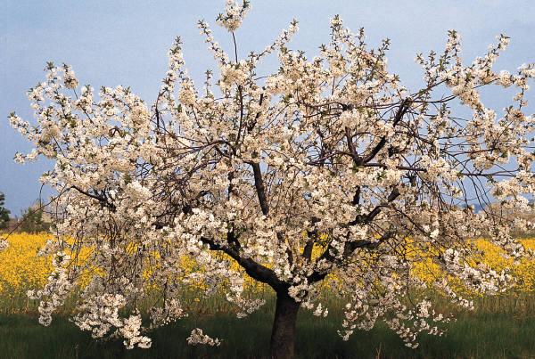 reiseversicherung.tc - Zu jeder Reise die passende Reiseversicherung