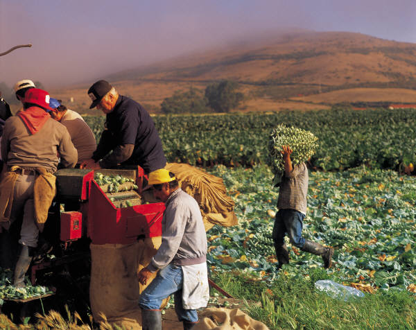 reiseversicherung.tc - Zu jeder Reise die passende Reiseversicherung