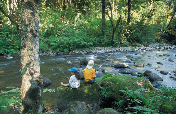 reiseversicherung.tc - Zu jeder Reise die passende Reiseversicherung
