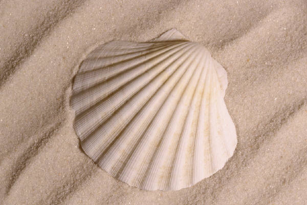 reiseversicherung.tc - Zu jeder Reise die passende Reiseversicherung