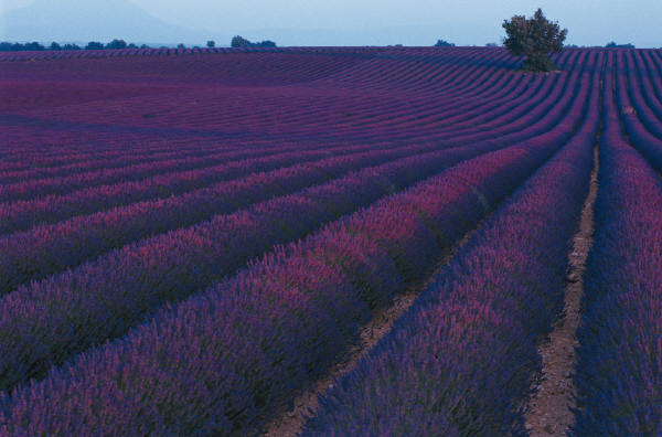 reiseversicherung.tc - Zu jeder Reise die passende Reiseversicherung