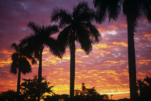 reiseversicherung.tc - Zu jeder Reise die passende Reiseversicherung