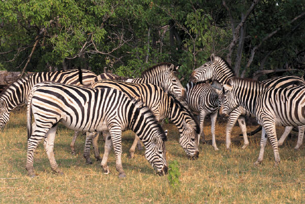 reiseversicherung.tc - Zu jeder Reise die passende Reiseversicherung