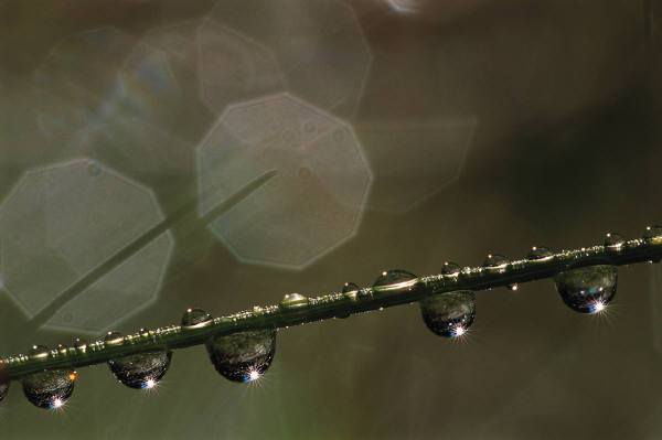 reiseversicherung.tc - Zu jeder Reise die passende Reiseversicherung